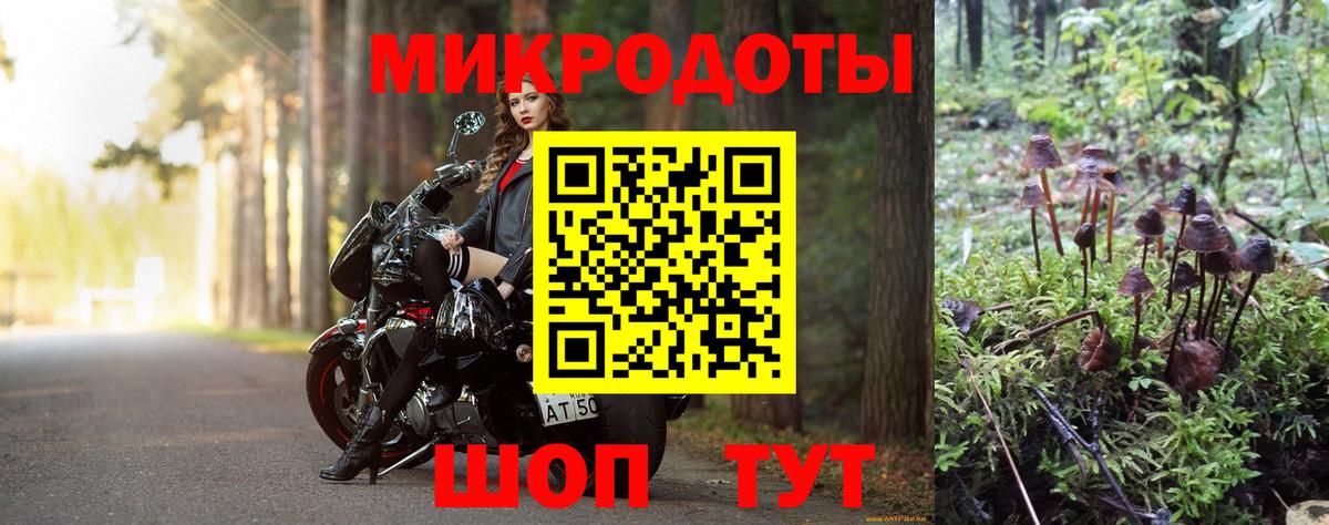 Псилоцибиновые грибы мицелий Пугачёв